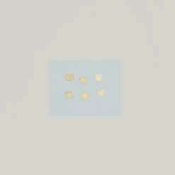 Brass Paper Clips - Large