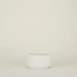 Contour Ribbed Planter - White