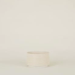 Contour Ribbed Planter - Apricot