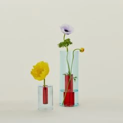 Reversible Glass Vase - Red/Blue