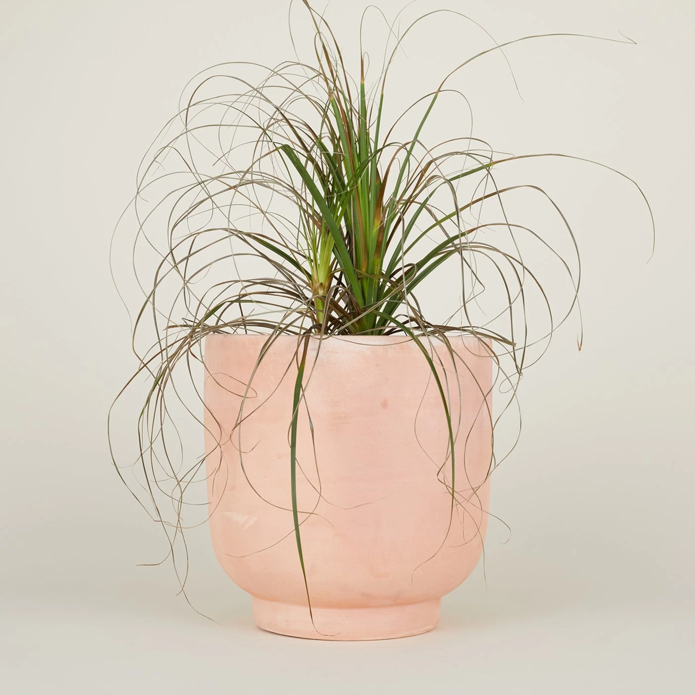 Footed Planter - Terracotta - Image 8