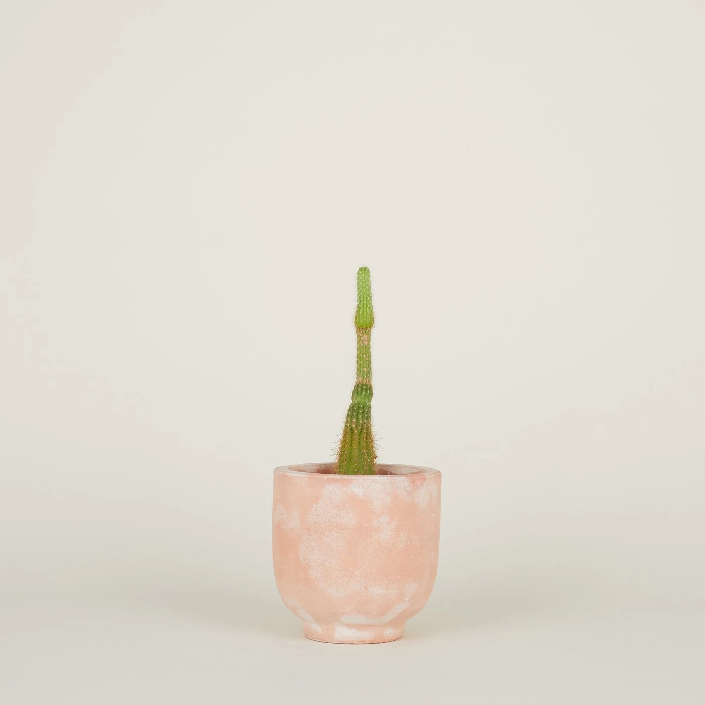 Footed Planter - Terracotta - Image 6