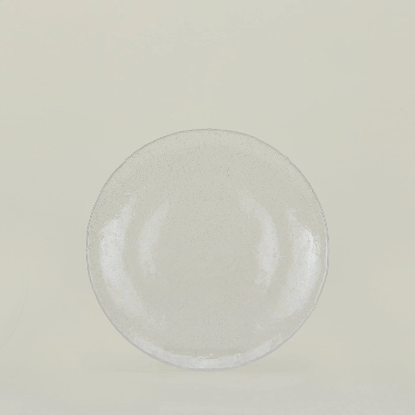 Glass Dinner Plate - Clear